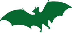 bat